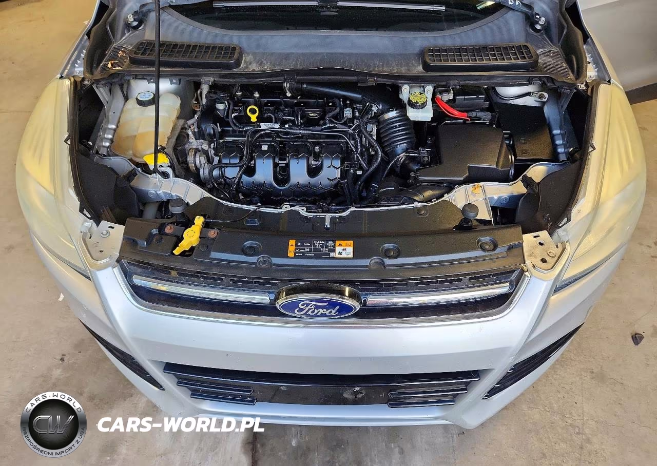 2013 Ford Escape Sel VIN:1FMCU9H91DUD10905 - 12