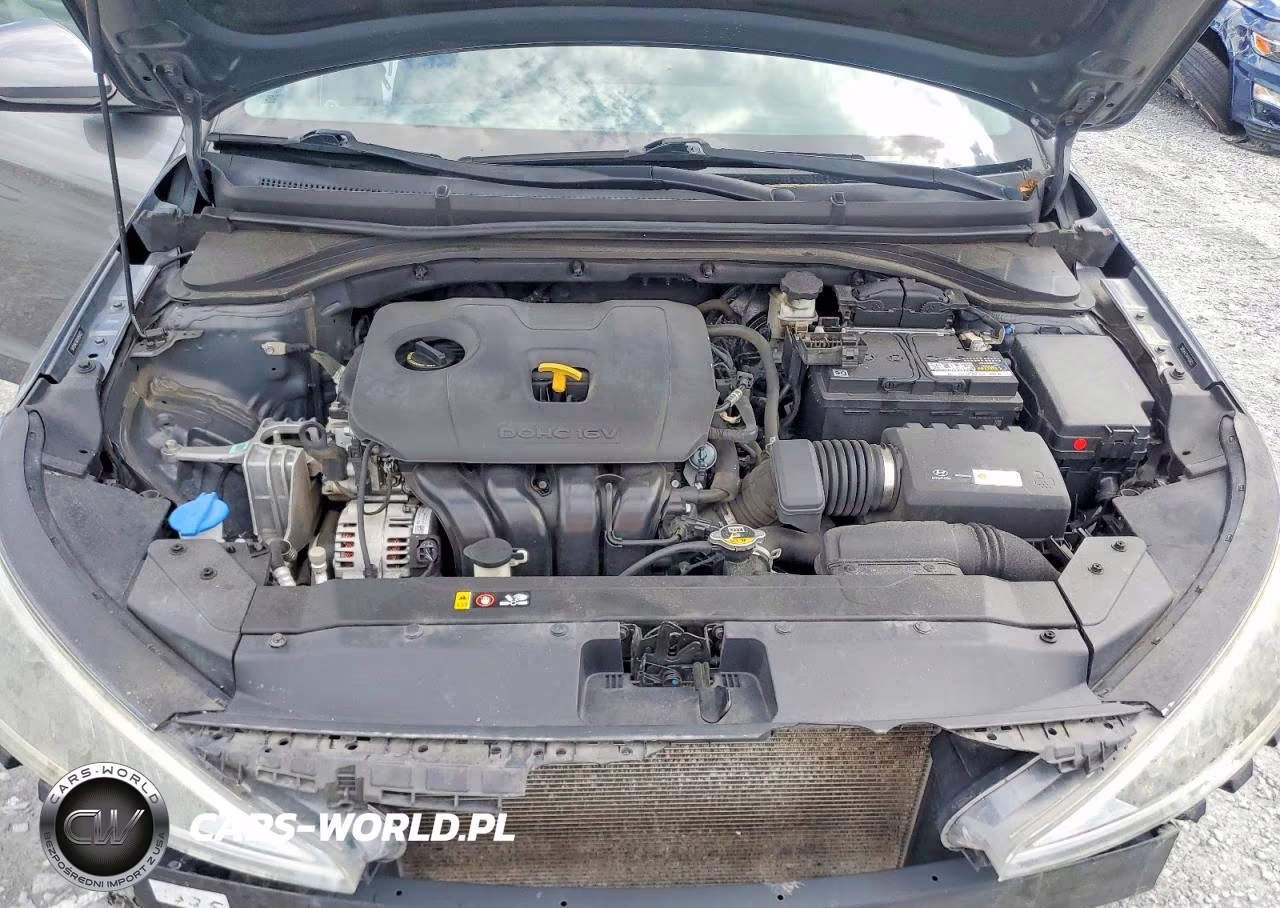 2019 Hyundai Elantra Sel, Value Edition & Limited VIN:5NPD84LF6KH450422 - 11