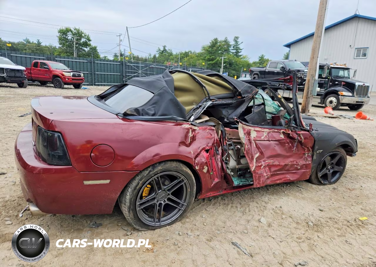 2001 Ford Mustang Gt VIN:1FAFP45X91F197502 - 3