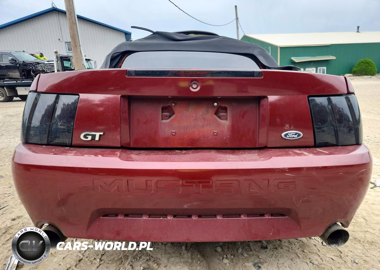 2001 Ford Mustang Gt VIN:1FAFP45X91F197502 - 6