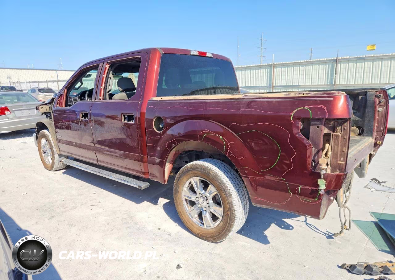 2015 Ford F150 Supercrew VIN:1FTEW1CP5FKD25307 - 2