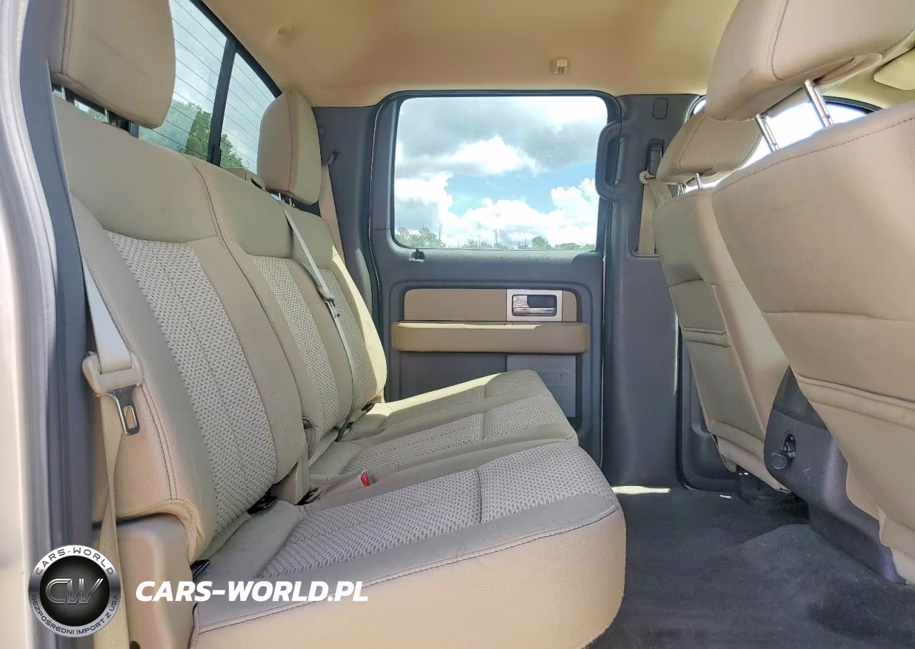 2010 Ford F150 Supercrew VIN:1FTFW1EV9AFB23944 - 10