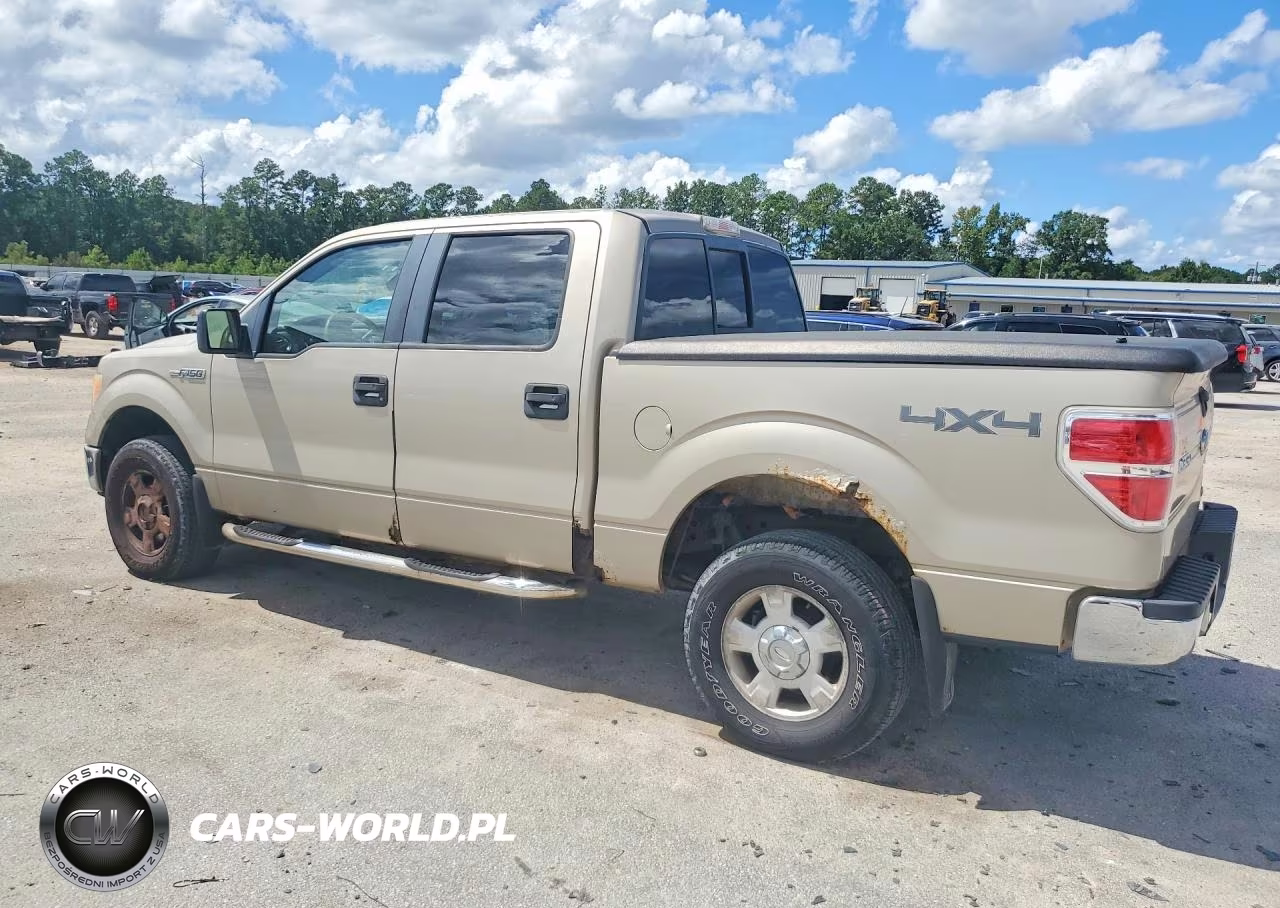 2010 Ford F150 Supercrew VIN:1FTFW1EV9AFB23944 - 2