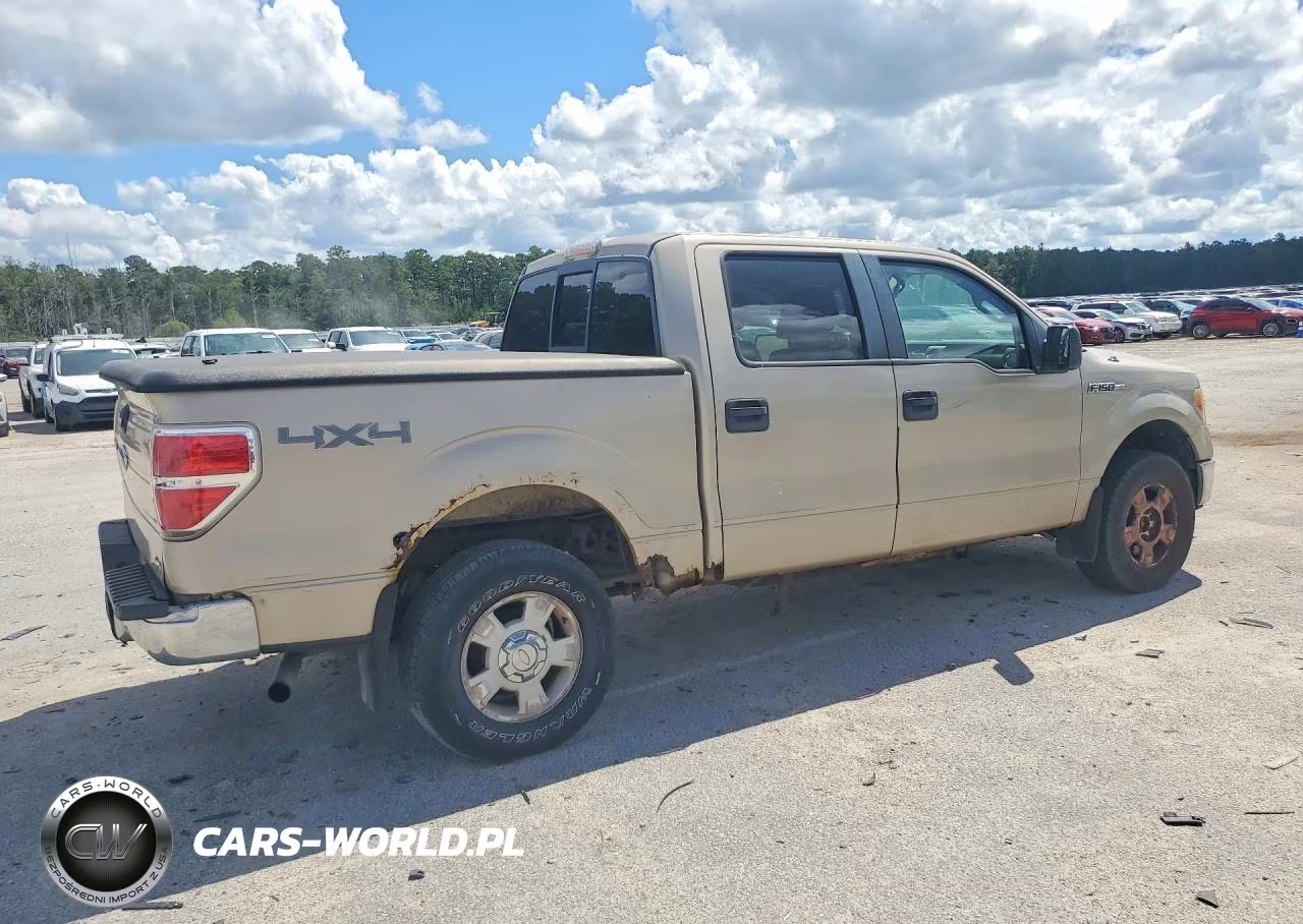 2010 Ford F150 Supercrew VIN:1FTFW1EV9AFB23944 - 3