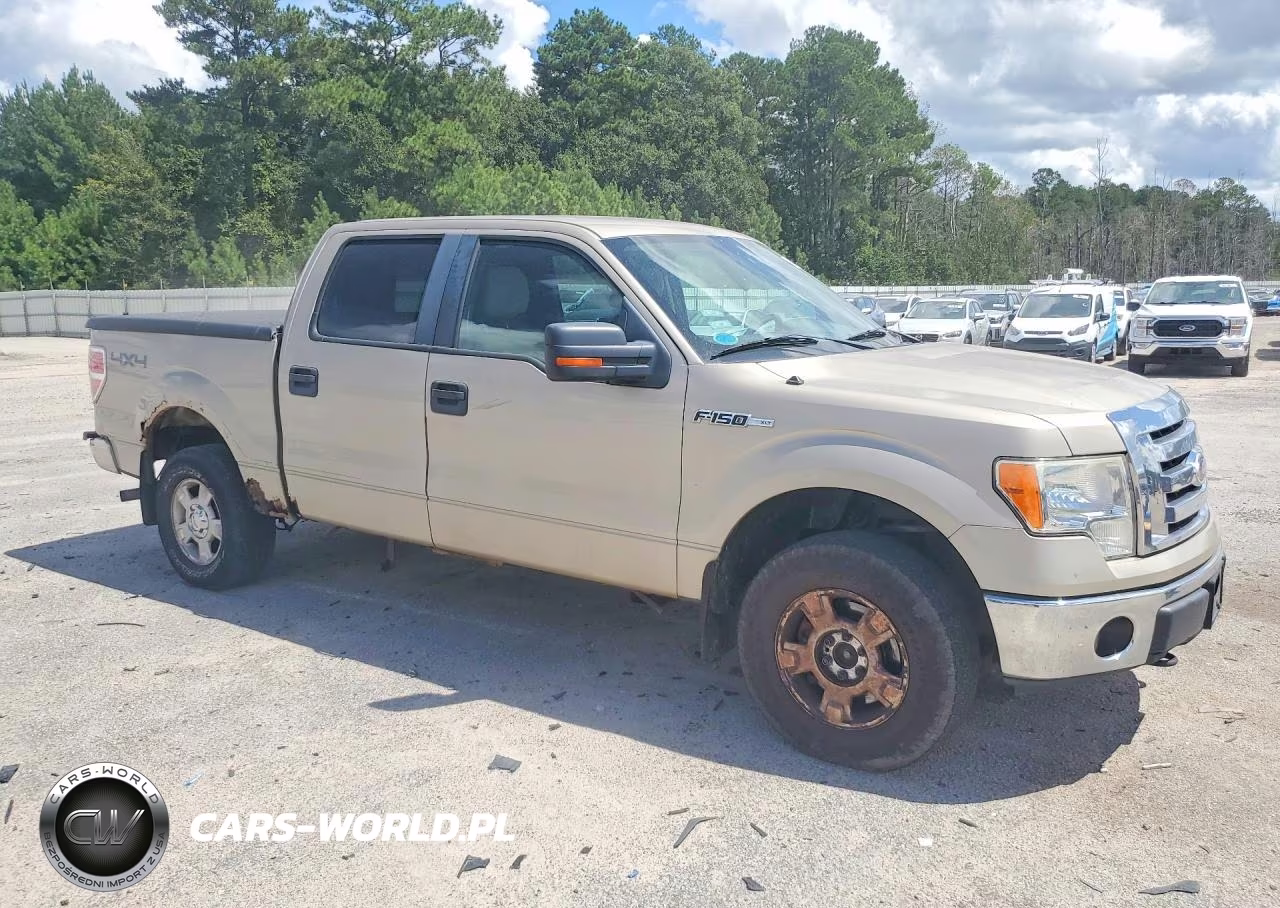 2010 Ford F150 Supercrew VIN:1FTFW1EV9AFB23944 - 4