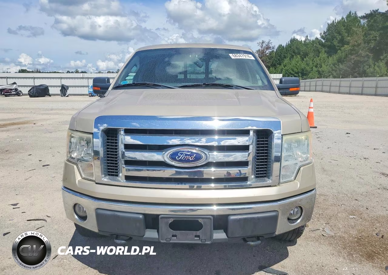 2010 Ford F150 Supercrew VIN:1FTFW1EV9AFB23944 - 5