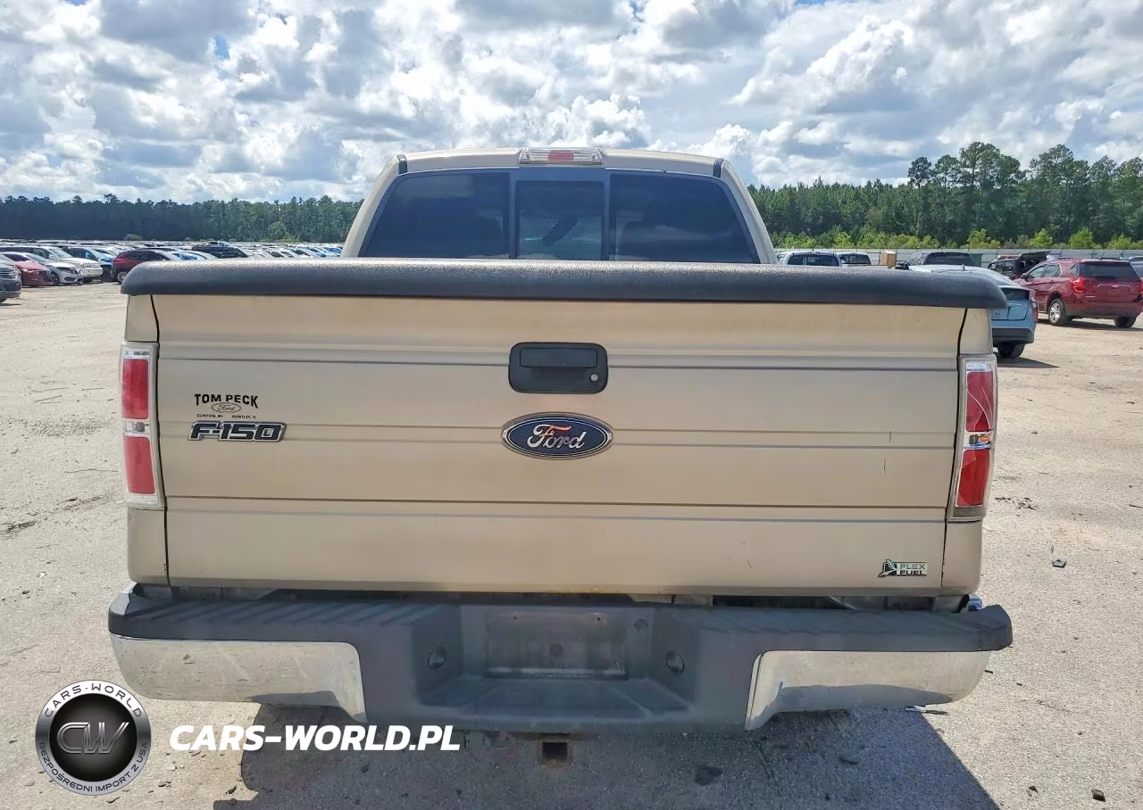 2010 Ford F150 Supercrew VIN:1FTFW1EV9AFB23944 - 6