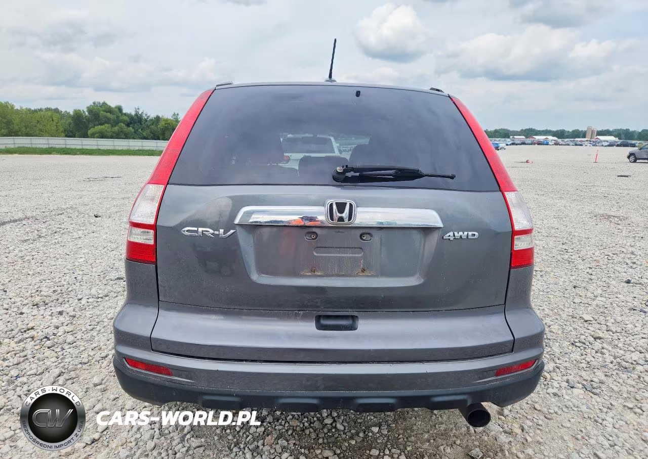 2010 Honda Cr-V Exl VIN:5J6RE4H75AL053756 - 6