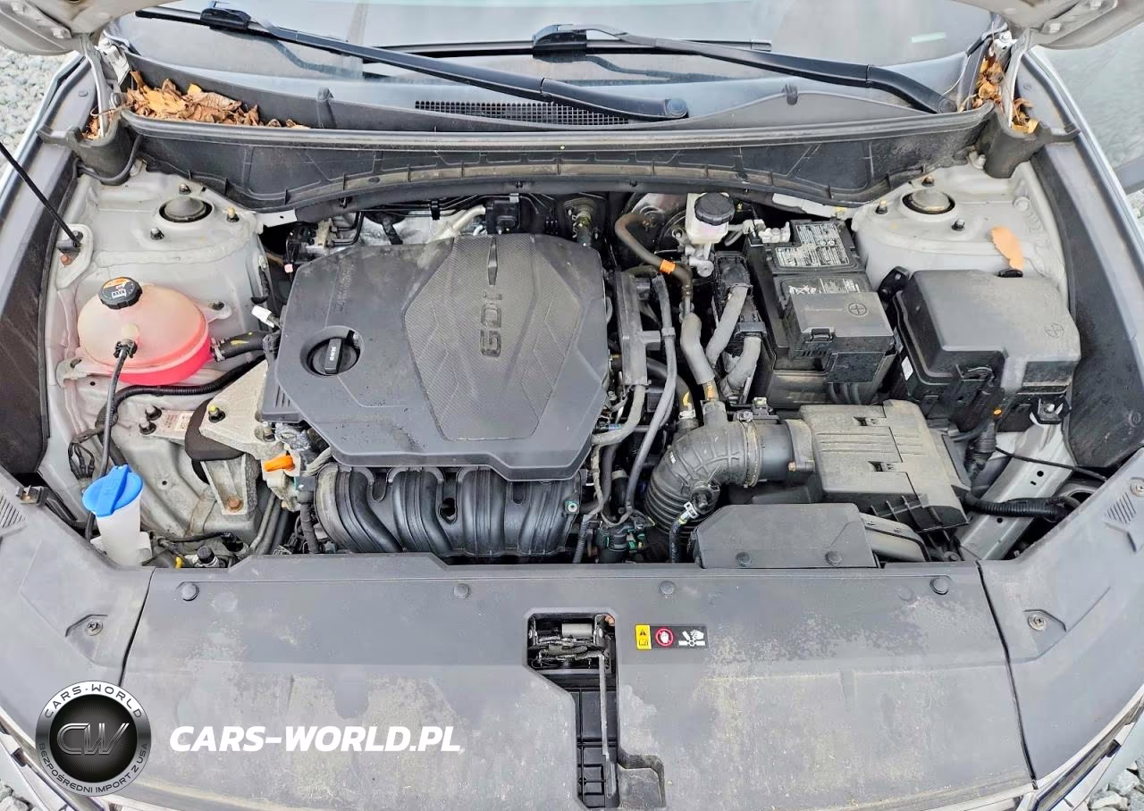 2023 Hyundai Tucson Limited VIN:5NMJECAE9PH171857 - 12
