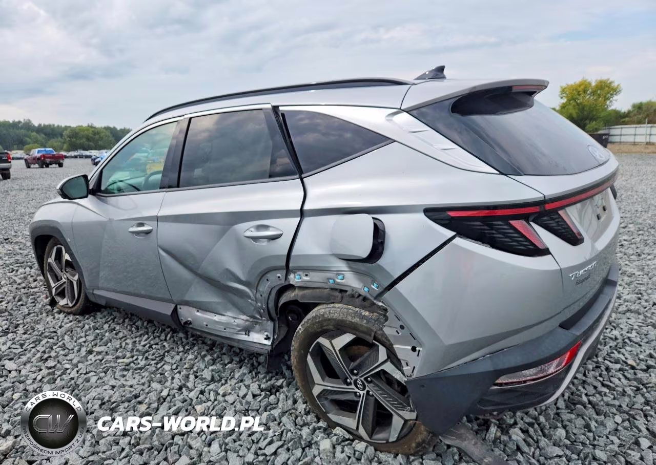 2023 Hyundai Tucson Limited VIN:5NMJECAE9PH171857 - 2