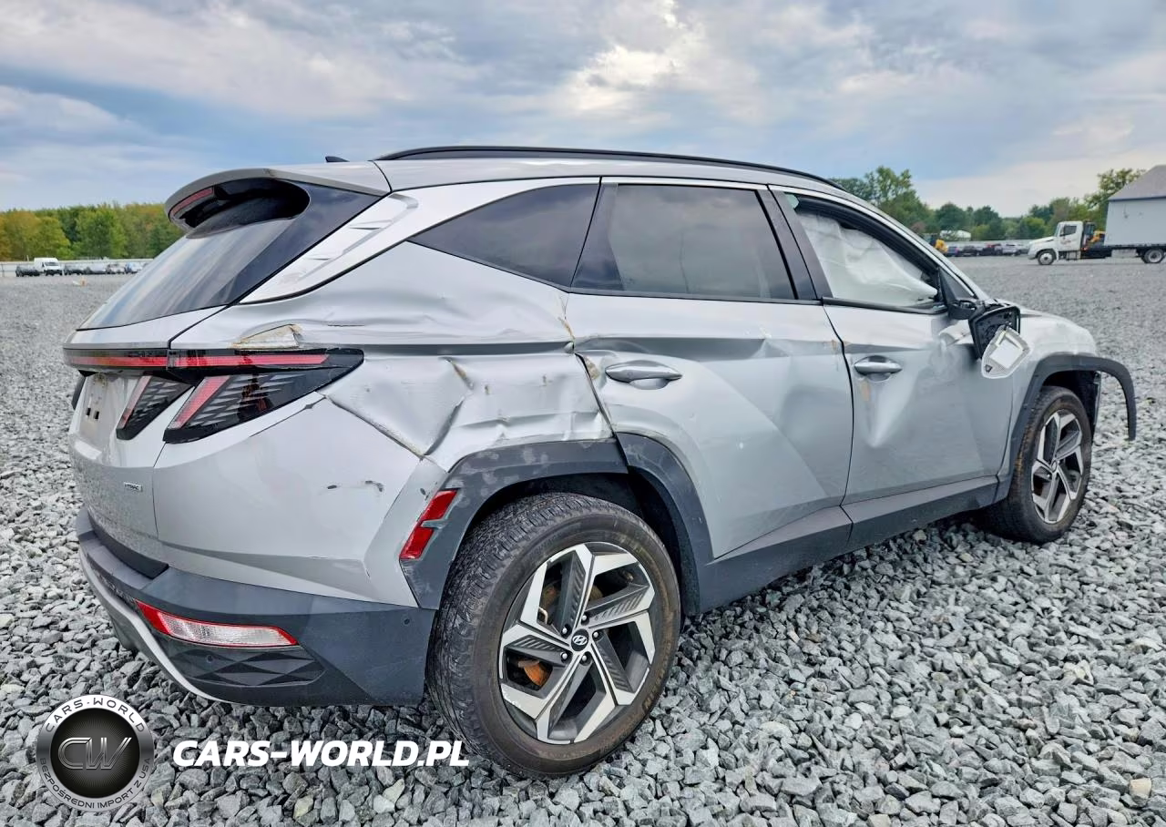2023 Hyundai Tucson Limited VIN:5NMJECAE9PH171857 - 3