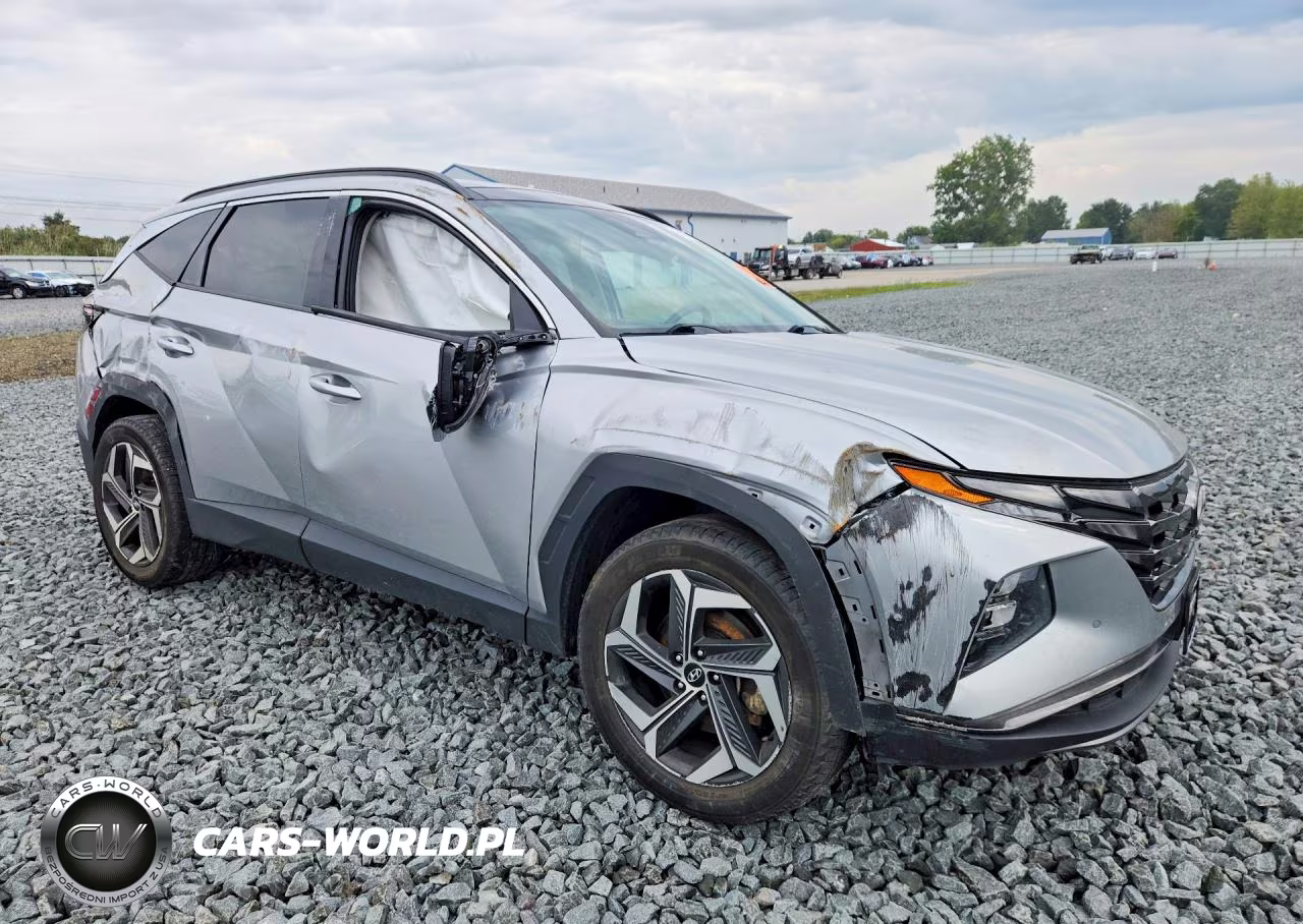 2023 Hyundai Tucson Limited VIN:5NMJECAE9PH171857 - 4
