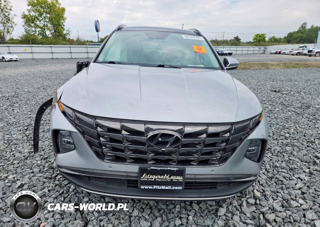 2023 Hyundai Tucson Limited VIN:5NMJECAE9PH171857 - 5