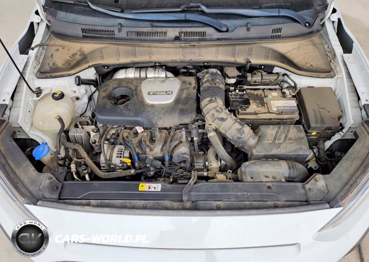 2019 Hyundai Kona Ultimate VIN:KM8K5CA5XKU263223 - 12