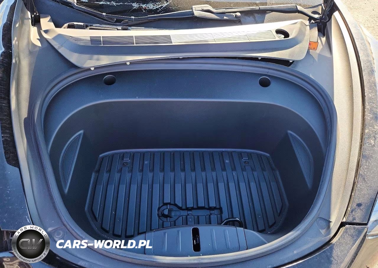 2021 Tesla Model 3 VIN:5YJ3E1EA4MF071747 - 11