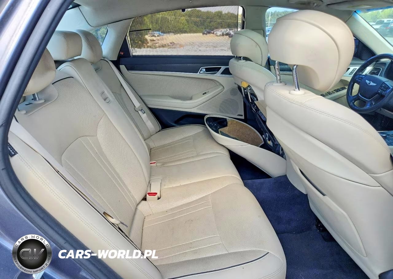 2015 Hyundai Genesis 5.0L VIN:KMHGN4JF7FU009382 - 10