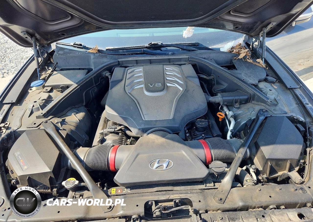 2015 Hyundai Genesis 5.0L VIN:KMHGN4JF7FU009382 - 11