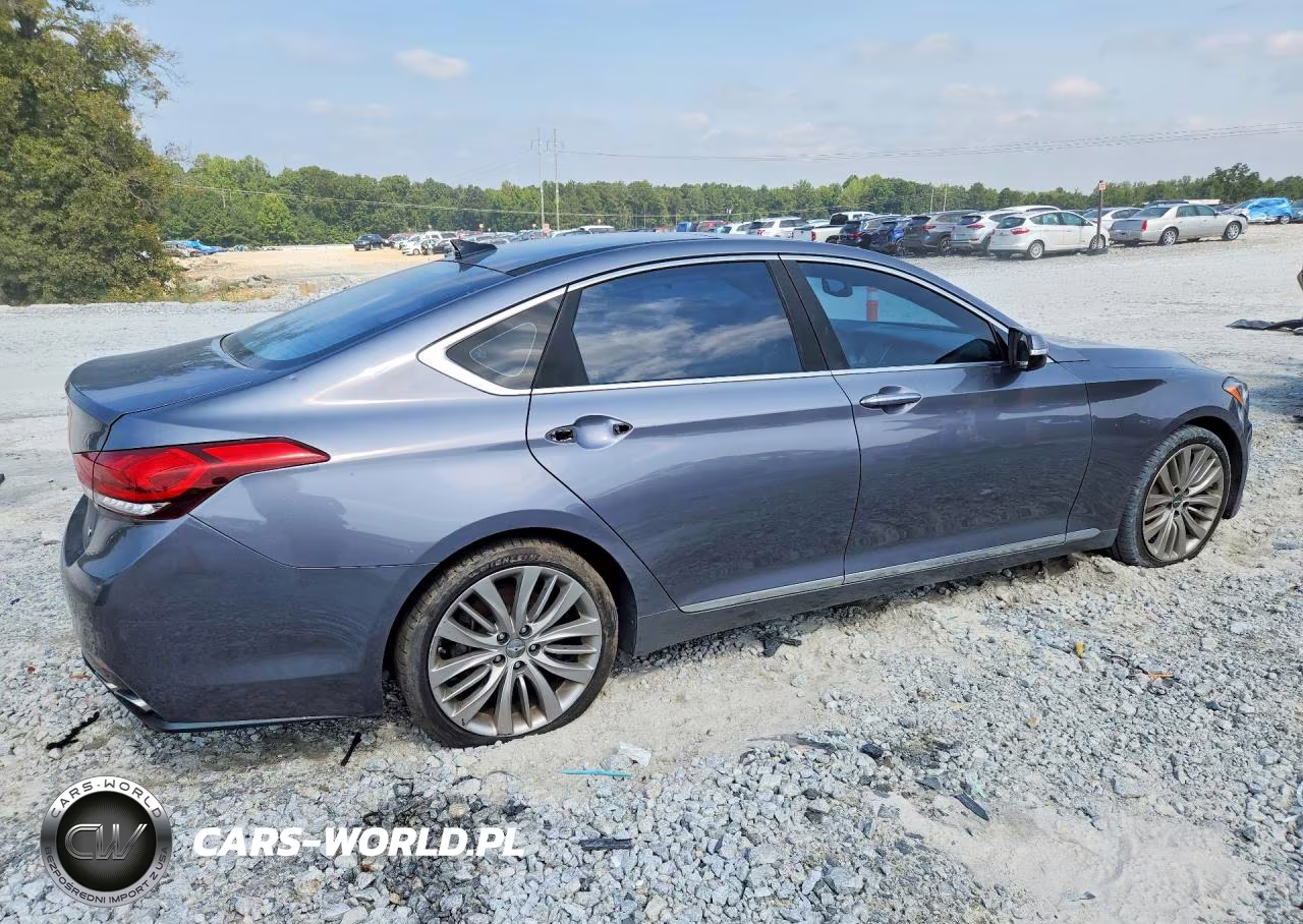 2015 Hyundai Genesis 5.0L VIN:KMHGN4JF7FU009382 - 3