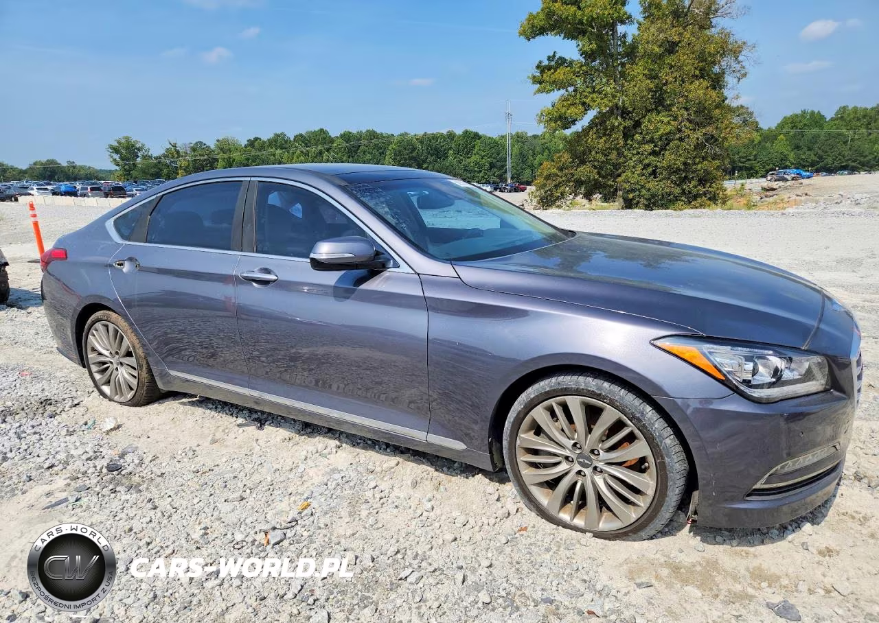 2015 Hyundai Genesis 5.0L VIN:KMHGN4JF7FU009382 - 4