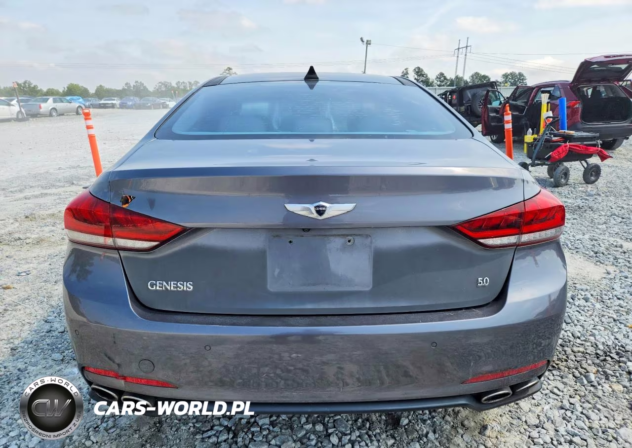2015 Hyundai Genesis 5.0L VIN:KMHGN4JF7FU009382 - 6