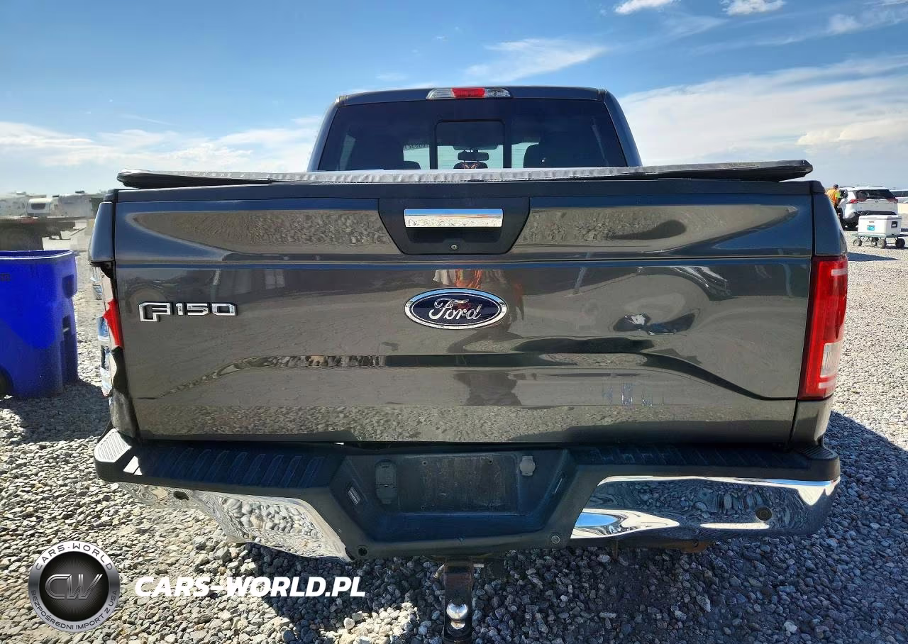 2015 Ford F150 Supercrew VIN:1FTEW1EP2FFA79886 - 6