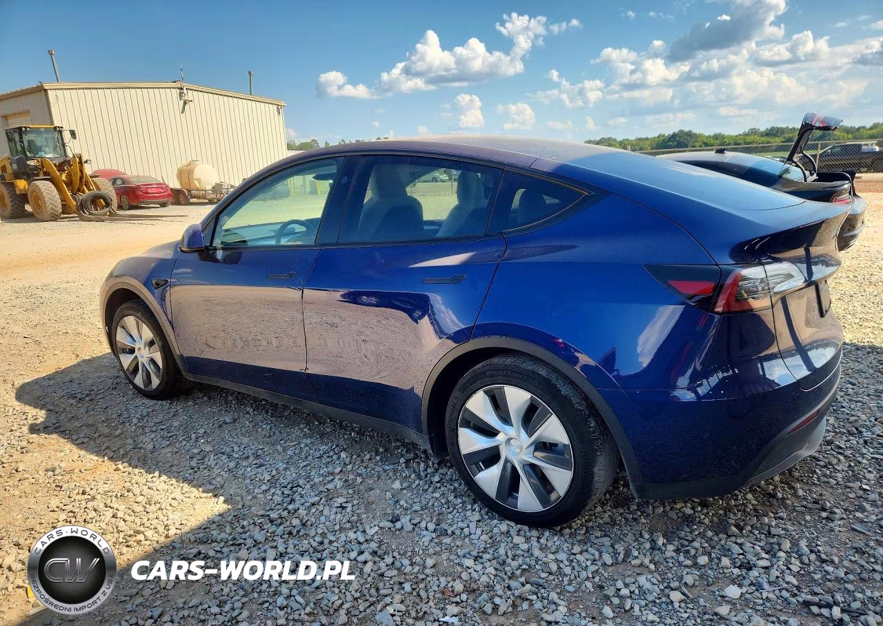 2023 Tesla Model Y VIN:7SAYGDEEXPF799701 - 2