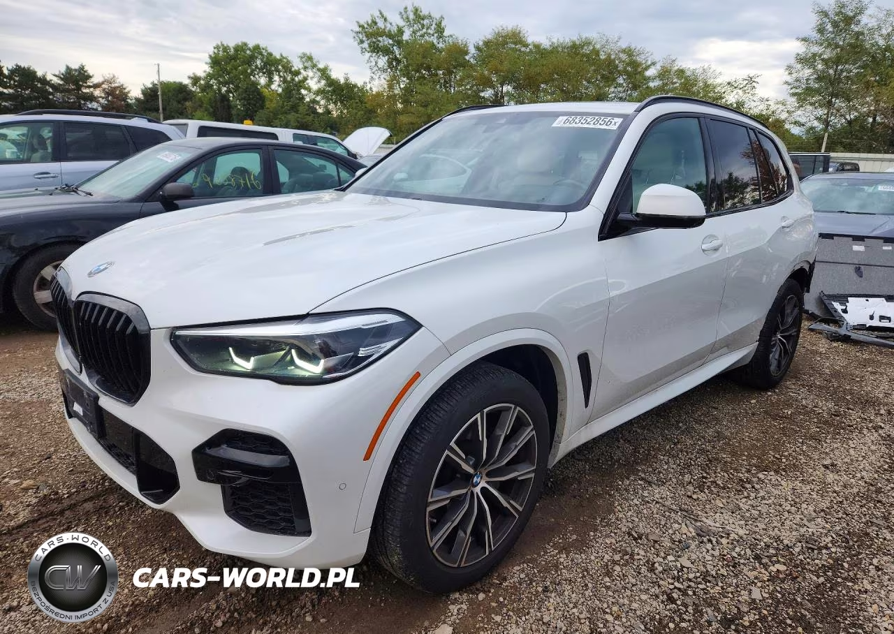 2022 BMW X5 xDrive40I VIN:5UXCR6C03N9N33933 - 1