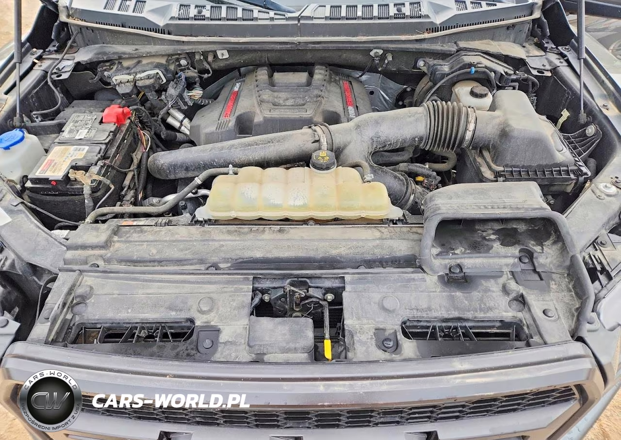 2020 Ford F150 Raptor VIN:1FTFW1RG1LFA09662 - 11