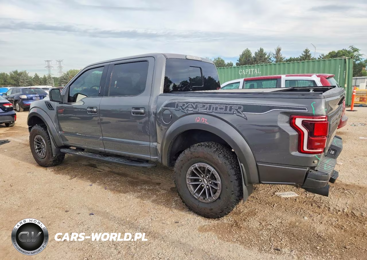 2020 Ford F150 Raptor VIN:1FTFW1RG1LFA09662 - 2