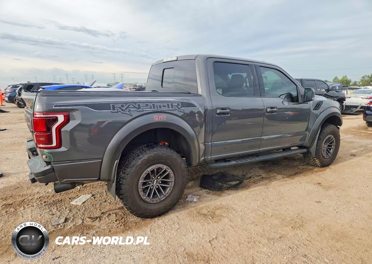 2020 Ford F150 Raptor VIN:1FTFW1RG1LFA09662 - 3
