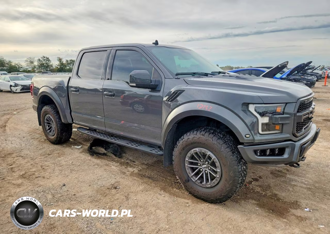 2020 Ford F150 Raptor VIN:1FTFW1RG1LFA09662 - 4
