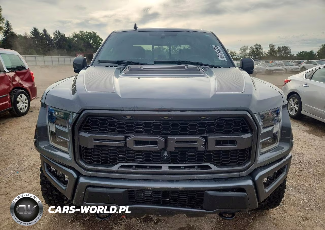 2020 Ford F150 Raptor VIN:1FTFW1RG1LFA09662 - 5