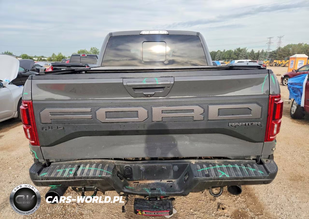 2020 Ford F150 Raptor VIN:1FTFW1RG1LFA09662 - 6