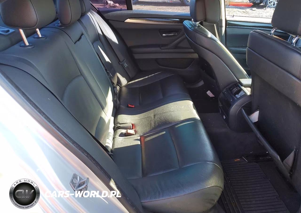 2013 BMW 528 Xi VIN:WBAXH5C54DDW16419 - 10