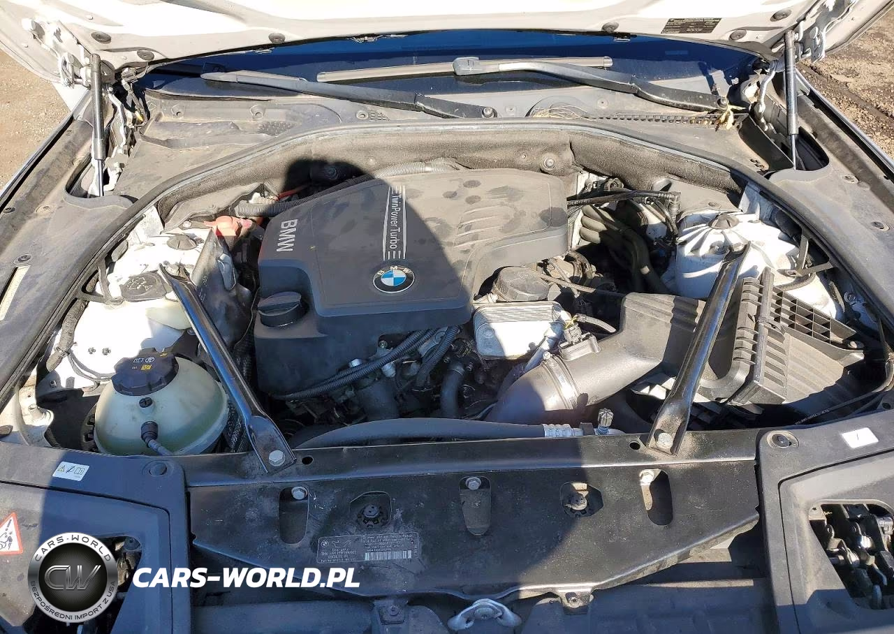 2013 BMW 528 Xi VIN:WBAXH5C54DDW16419 - 11