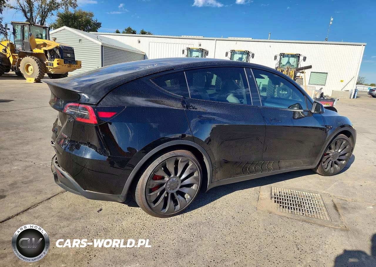 2023 Tesla Model Y VIN:7SAYGDEF5PF739432 - 3