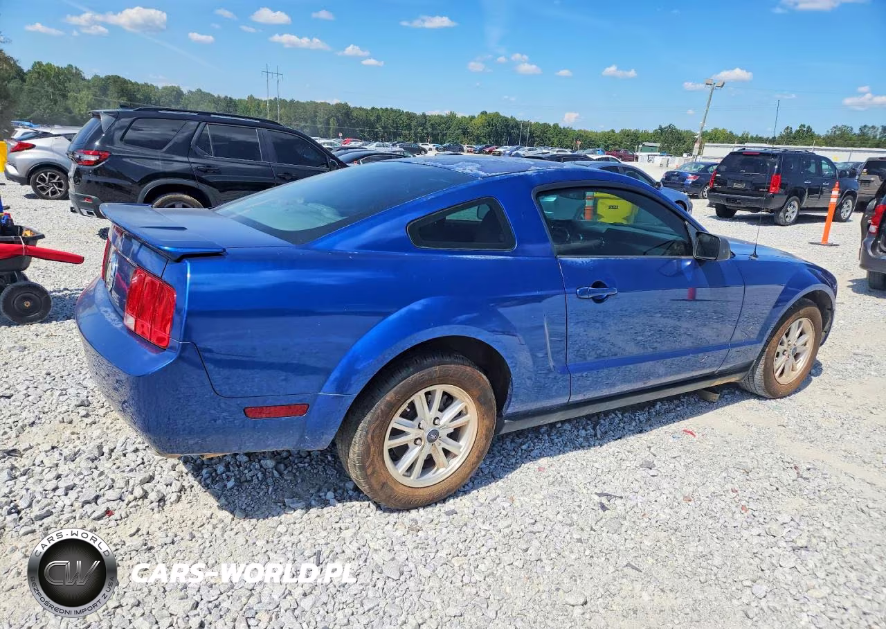 2007 Ford Mustang VIN:1ZVFT80N175244259 - 3