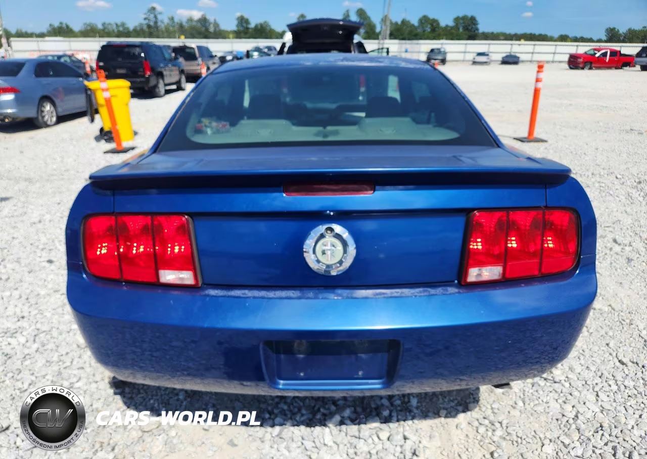 2007 Ford Mustang VIN:1ZVFT80N175244259 - 6