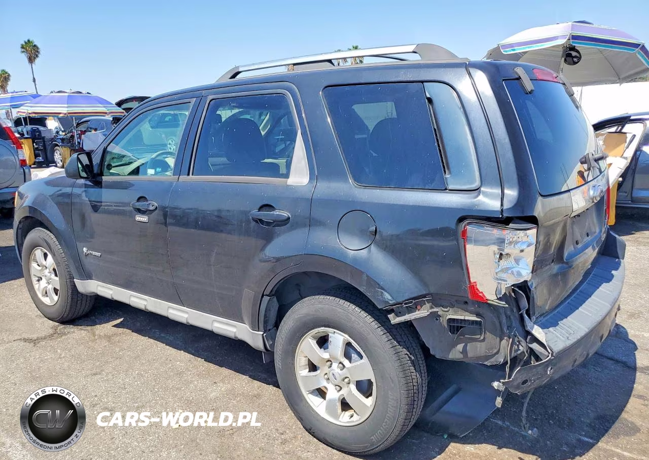 2009 Ford Escape Hybrid VIN:1FMCU49339KB10494 - 2