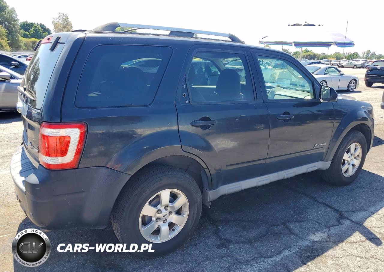 2009 Ford Escape Hybrid VIN:1FMCU49339KB10494 - 3