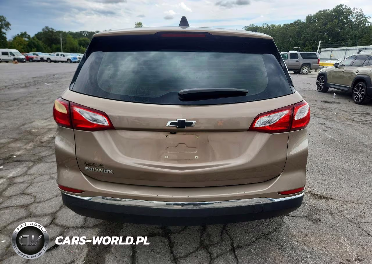 2018 Chevrolet Equinox Ls VIN:2GNAXHEV9J6215315 - 6