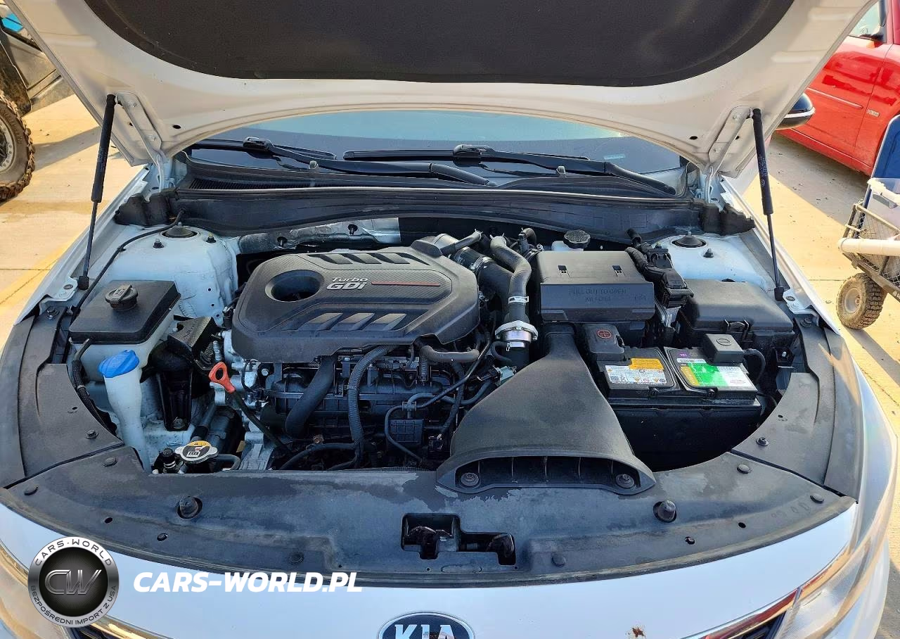 2019 Kia Optima Sx VIN:5XXGW4L28KG366730 - 11