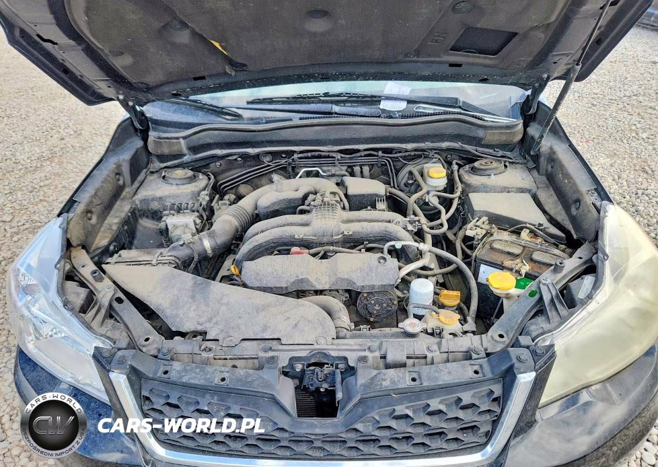 2014 Subaru Forester 2.5I VIN:JF2SJAAC8EH421561 - 11