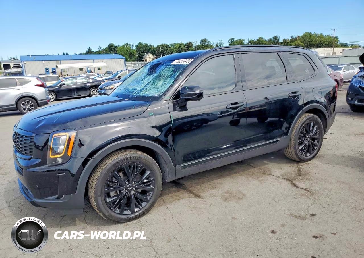 2021 Kia Telluride Sx VIN:5XYP5DHCXMG167259 - 1