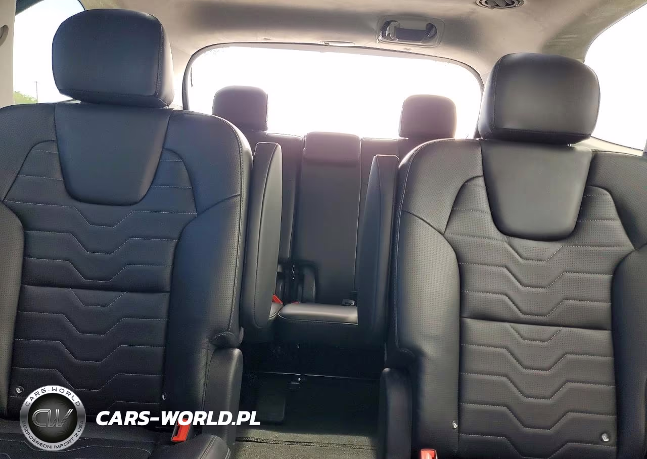 2021 Kia Telluride Sx VIN:5XYP5DHCXMG167259 - 10
