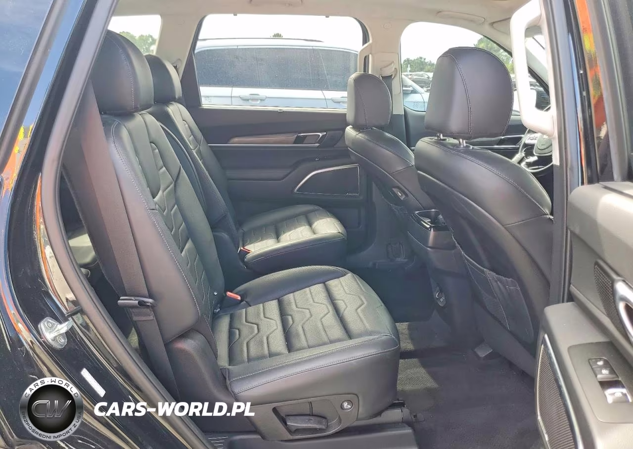 2021 Kia Telluride Sx VIN:5XYP5DHCXMG167259 - 11