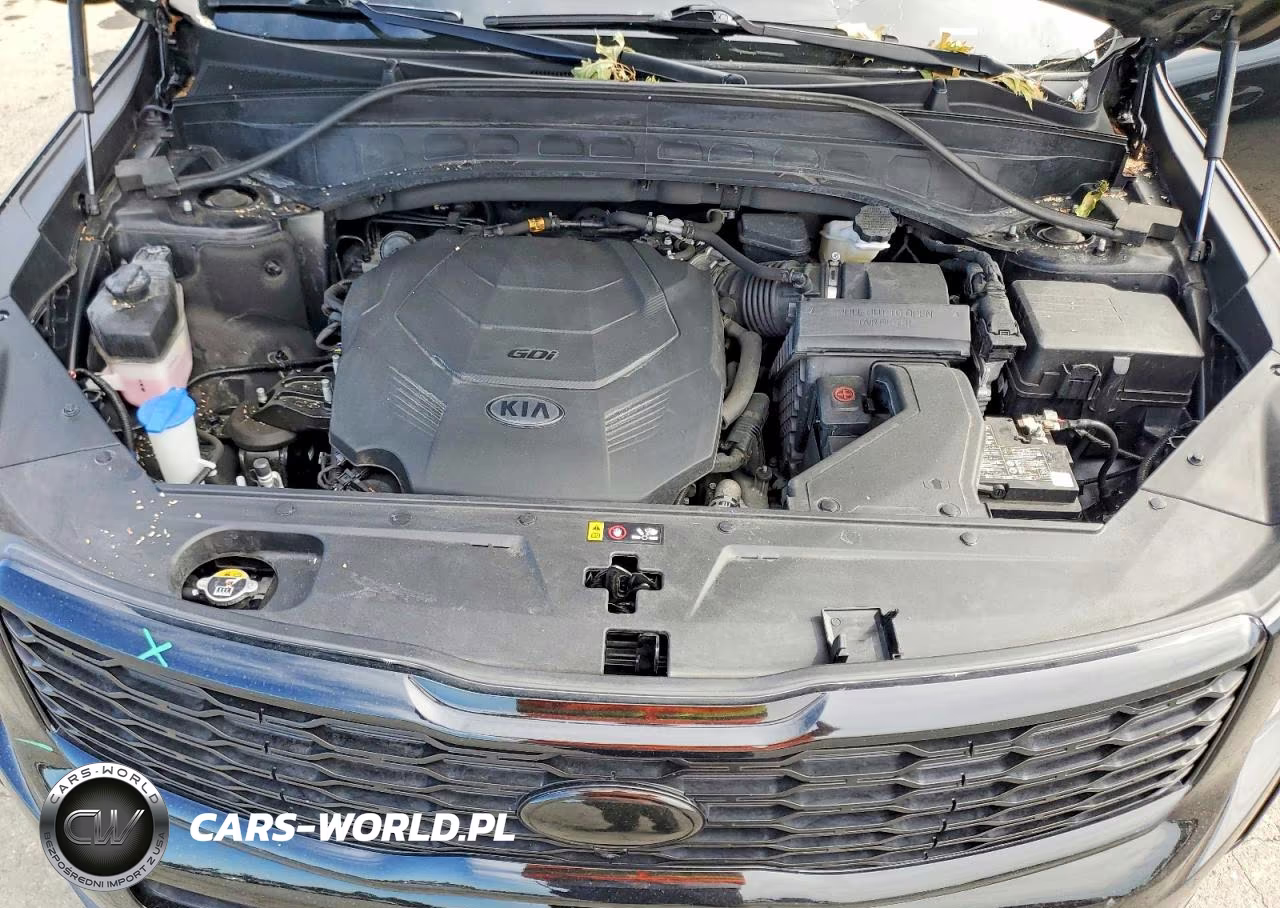 2021 Kia Telluride Sx VIN:5XYP5DHCXMG167259 - 12