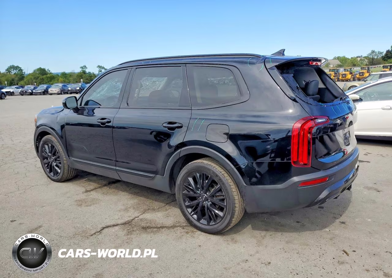 2021 Kia Telluride Sx VIN:5XYP5DHCXMG167259 - 2