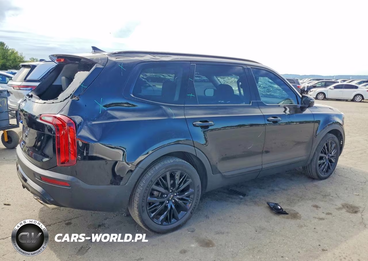 2021 Kia Telluride Sx VIN:5XYP5DHCXMG167259 - 3
