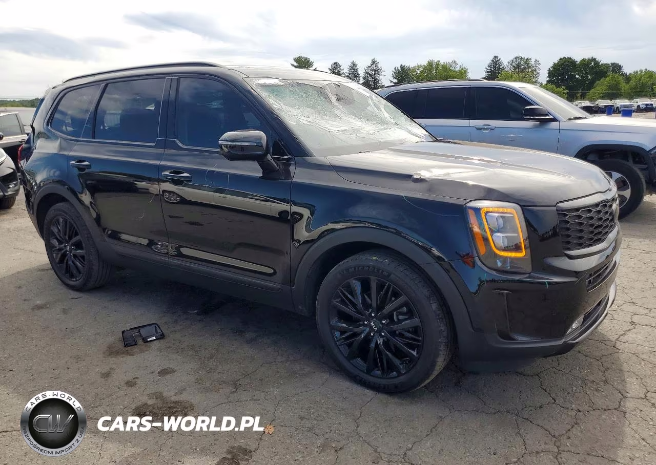 2021 Kia Telluride Sx VIN:5XYP5DHCXMG167259 - 4